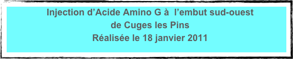 Injection d’Acide Amino G à  l’embut sud-ouest 
de Cuges les Pins
Réalisée le 18 janvier 2011
